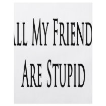 All My Friends Are Stupid flyers