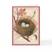 All Ocassion  Birdnest  Thank You Note Greeting Cards