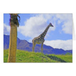 All Occasion 3 Giraffes Card
