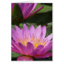 all occasion cards by iiiyaaa all occasion cards
