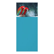 All Occasion Colorful Parrots Invitations