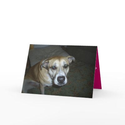 All Occasion Greeting Card from Dog to Master  by DoriPrince