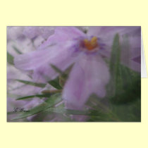All Occasion Greeting Card-Silky Lavender Flowers cards