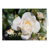 All occasion white rose, add your photo, text greeting cards