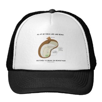 All Of My Ideas Are Like Beans Destined Beanstalks Trucker Hats