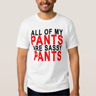 All of my pants are sassy pants.png tshirt