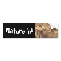 all one summer bumper stickers
