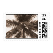 All Palm postage by mrulon23 All Palm postage