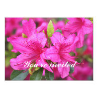 All parties invitation. pretty pink azalea flowers personalized invites