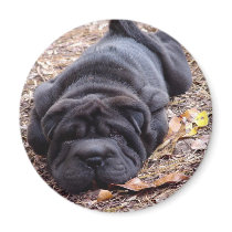 All Played Out Magnet