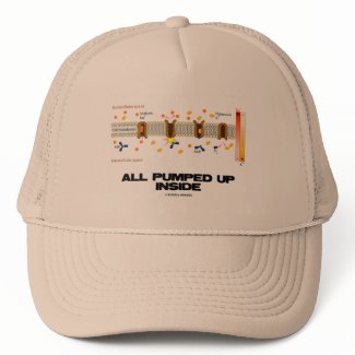 All Pumped Up Inside (Sodium-Potassium Pump) hat
