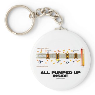 All Pumped Up Inside (Sodium-Potassium Pump) keychain