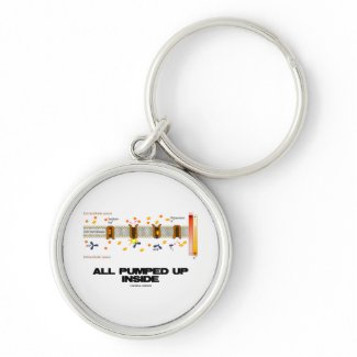 All Pumped Up Inside (Sodium-Potassium Pump) keychain