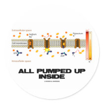 All Pumped Up Inside (Sodium-Potassium Pump) Round Stickers
