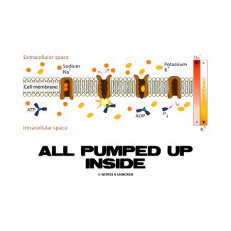 All Pumped Up Inside (Sodium-Potassium Pump) shirt