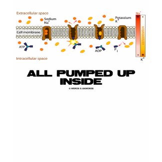 All Pumped Up Inside (Sodium-Potassium Pump) shirt
