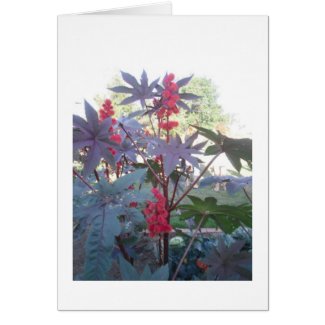All Purpose Blank Card card