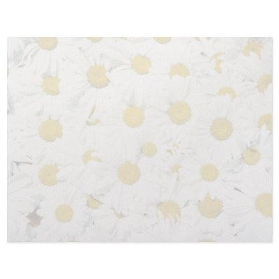 All-purpose daisy flowers letterhead design by inspirelove