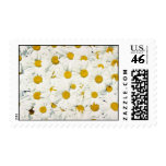 All-purpose daisy flowers stamp
