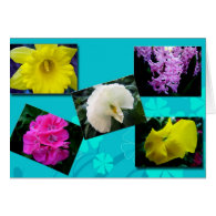 All purpose garden flowers greeting card