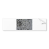 All roads lead to Rome Bumper Stickers