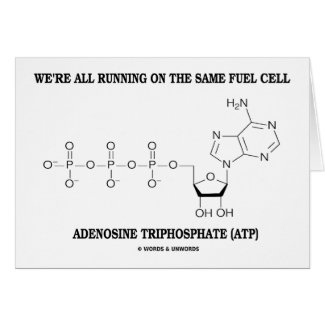 All Running On The Same Fuel Cell (ATP) card