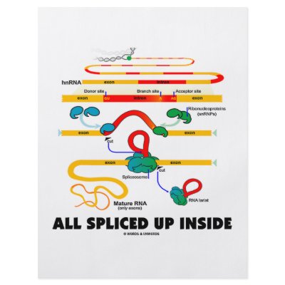 All Spliced Up Inside (RNA Splicing) Flyers by wordsunwords