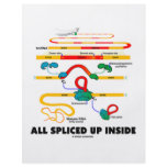 All Spliced Up Inside (RNA Splicing) flyers