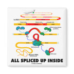 All Spliced Up Inside (RNA Splicing) Refrigerator Magnets