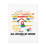 All Spliced Up Inside (RNA Splicing) Post Cards
