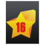 All Star Sixteen years old! Birthday Personalized Flyer