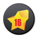 All Star Sixteen years old! Birthday Magnet