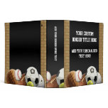 All Star Sports Balls w/ Brick Wall Binder