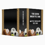 All Star Sports Balls w/ Brick Wall binders