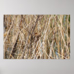 All the birds left poster