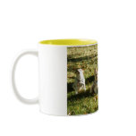 All the dogs Sept 2006 001 Mugs
