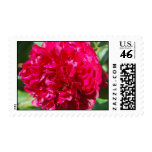 All the Love of my Heart Stamp