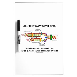 All The Way With DNA Intertwining Sense Anti-Sense Dry-Erase Boards