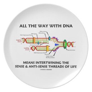 All The Way With DNA Intertwining Sense Anti-Sense Dinner Plate