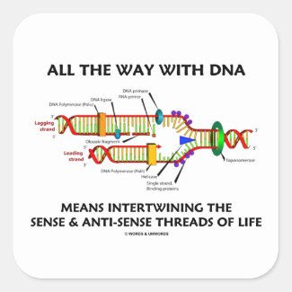 All The Way With DNA Intertwining Sense Anti-Sense Sticker