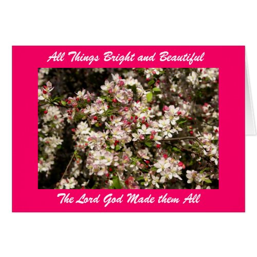 All Things Bright and Beautifu... card