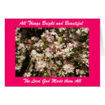 All Things Bright and Beautifu... Greeting Cards