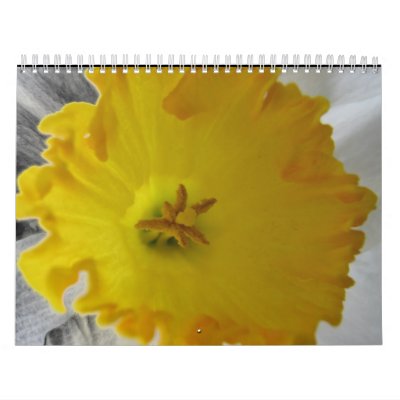 All things fine and fluffy wall calendars by Goddessteri