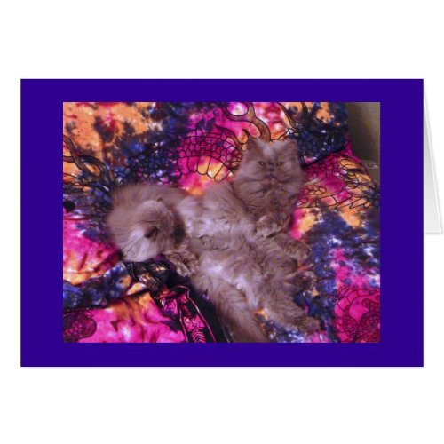 All Things Warm and Fuzzy Card card