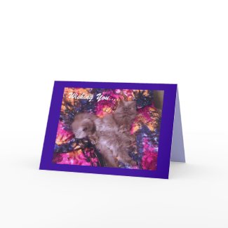 All Things warm and Fuzzy Christmas Card card
