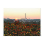 All Three Sunrise Postcard