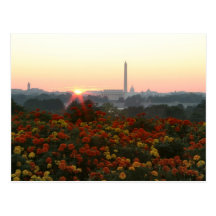 All Three Sunrise Postcard