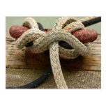 All Tied Up Post Cards