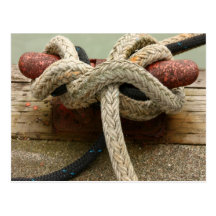 All Tied Up Post Cards