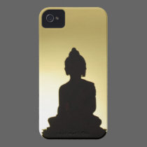 All Together Now casemate cases